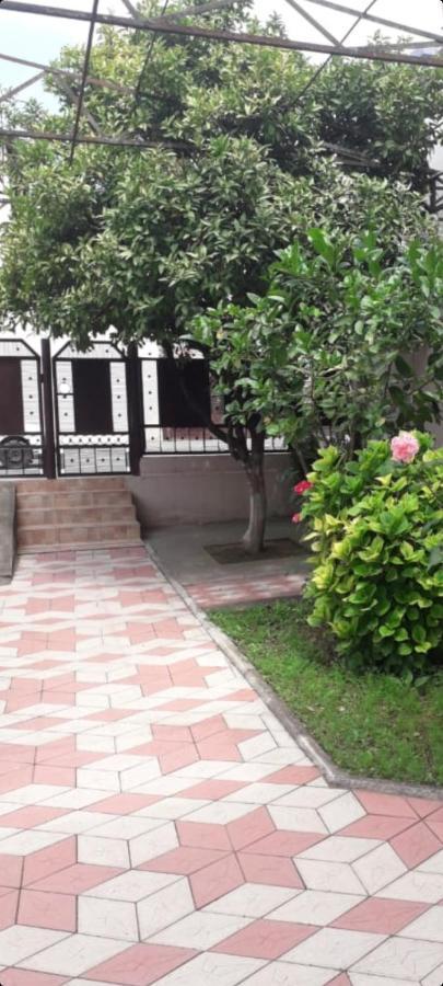 Белый Лотос Gagra Exterior foto